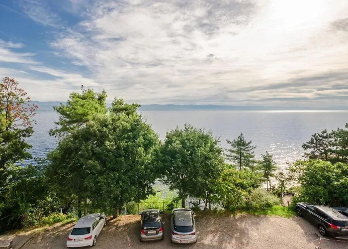 Milan メドヴェヤ