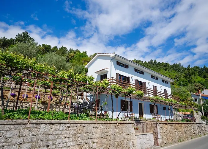 Milan ميدفيجا